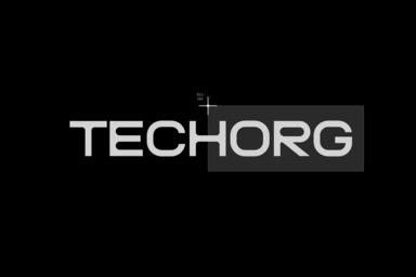 Techorg