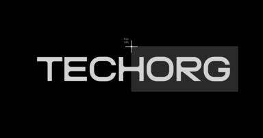 Techorg